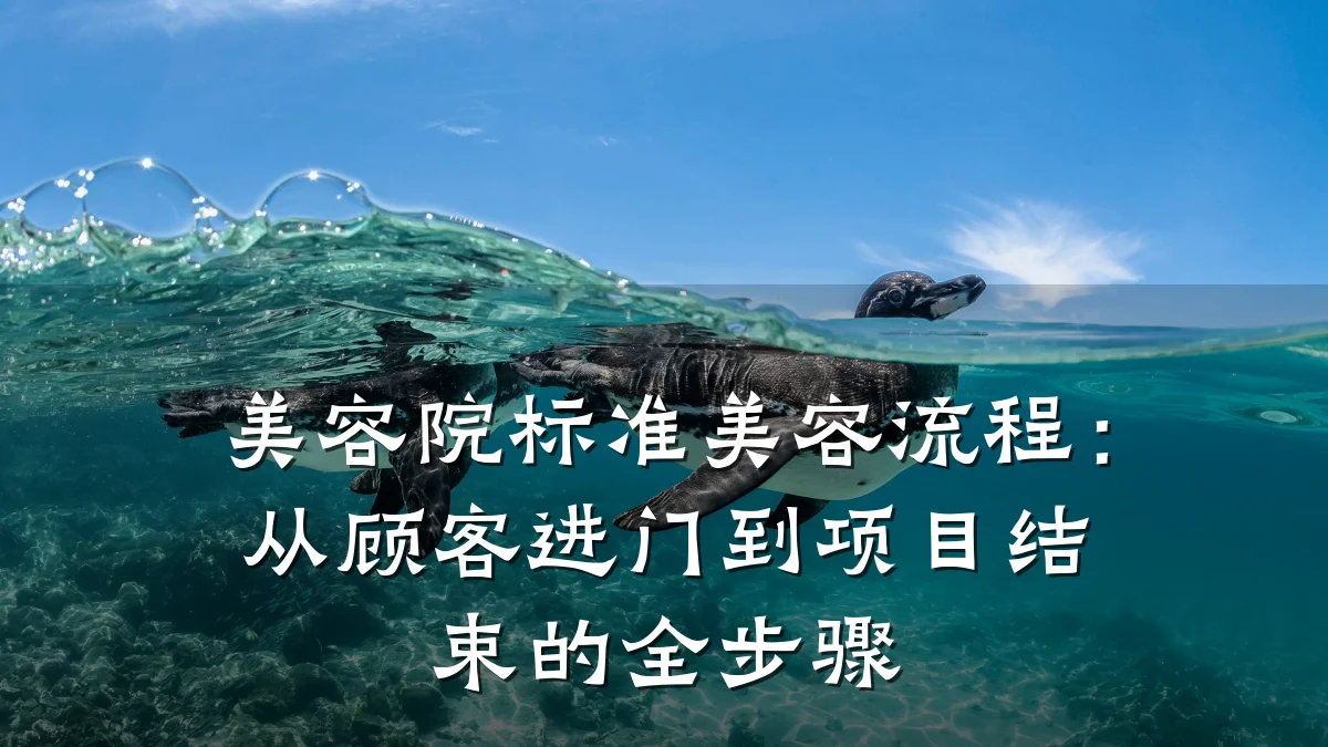 美容院标准美容流程:从顾客进门到项目结束的全步骤