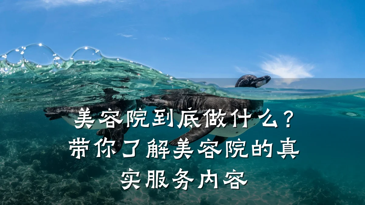 美容院到底做什么?带你了解美容院的真实服务内容