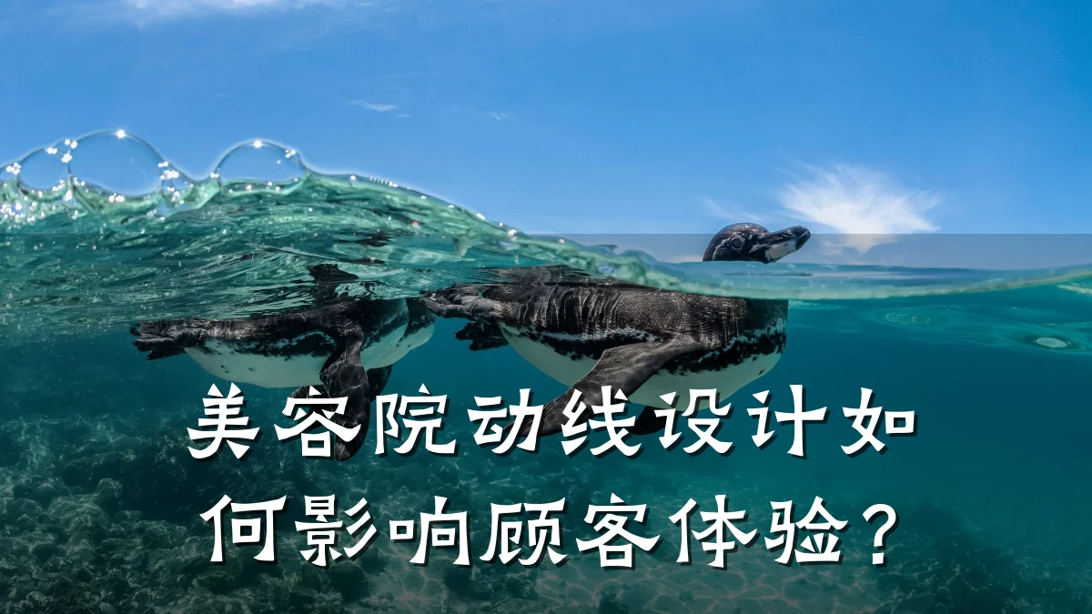 美容院动线设计如何影响顾客体验？