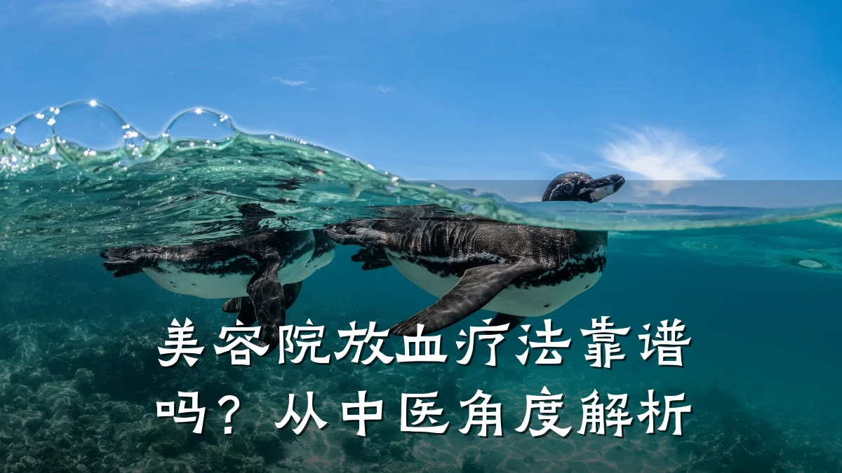 美容院放血疗法靠谱吗？从中医角度解析