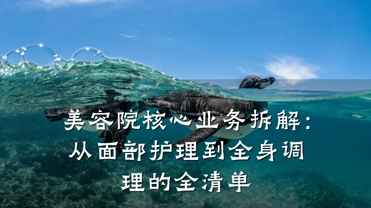 美容院核心业务拆解：从面部护理到全身调理的全清单