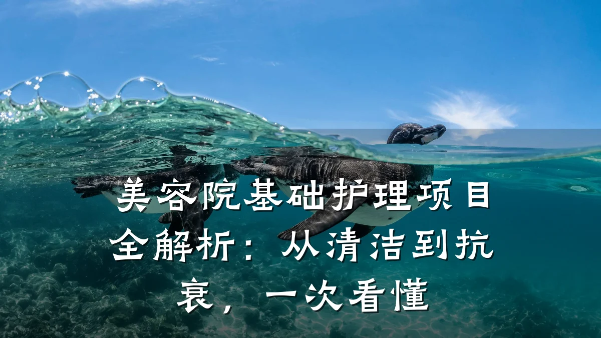 美容院基础护理项目全解析：从清洁到抗衰，一次看懂