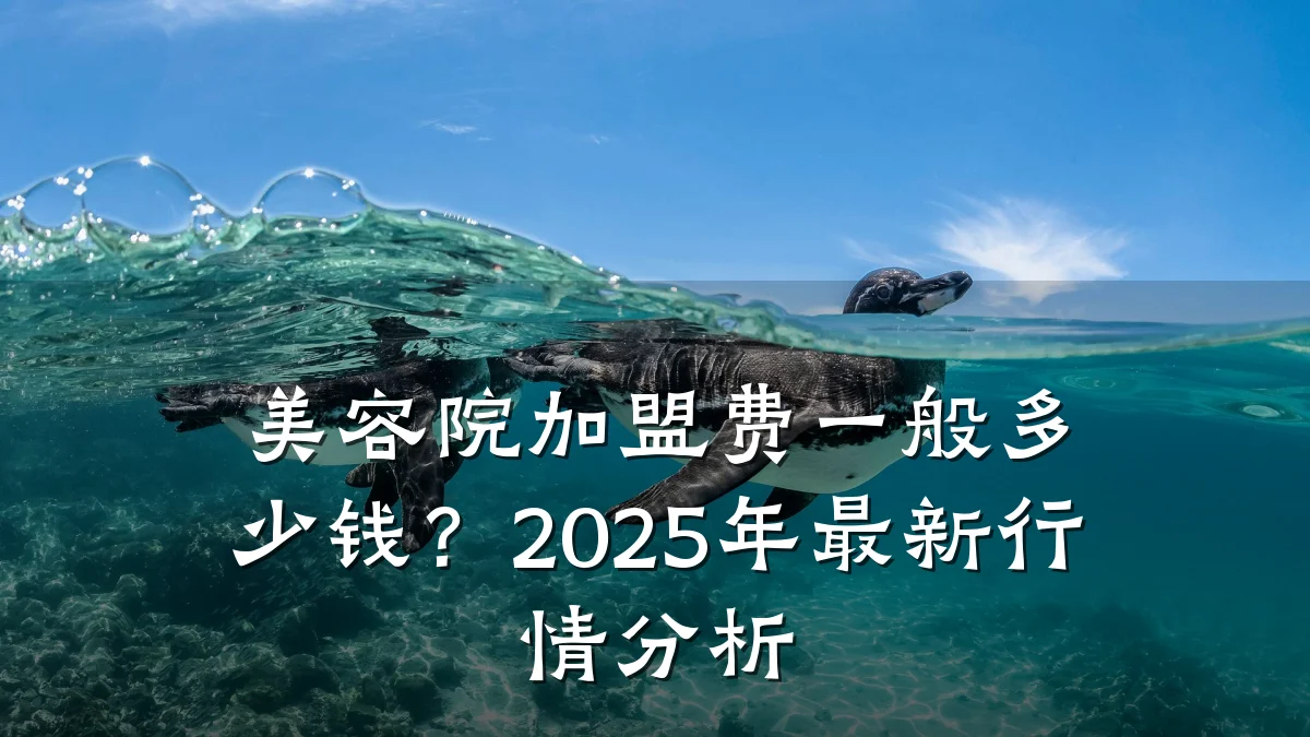 美容院加盟费一般多少钱？2025年最新行情分析