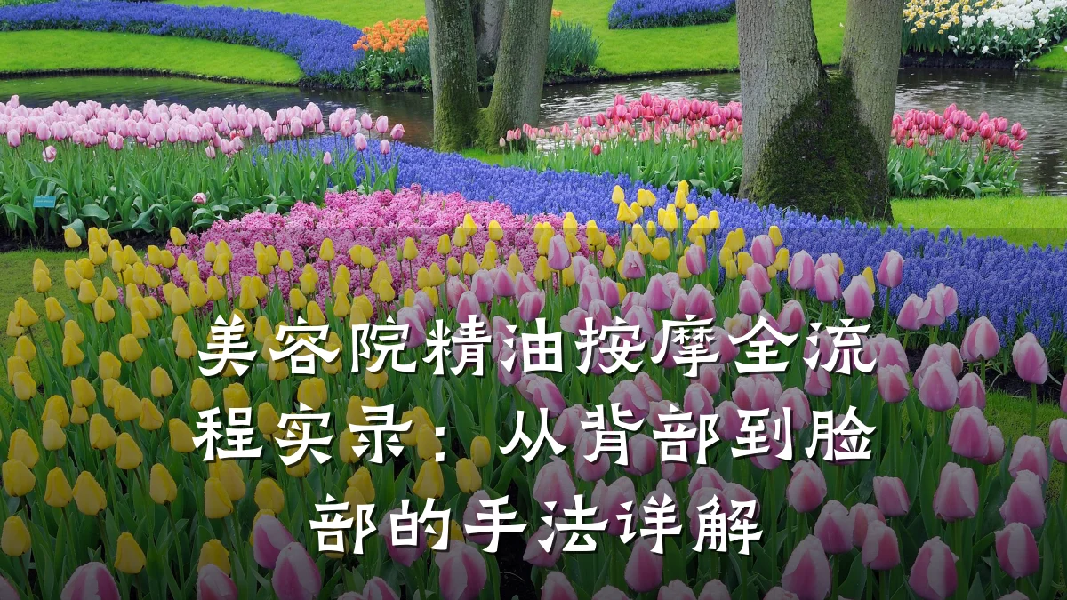 美容院精油按摩全流程实录:从背部到脸部的手法详解
