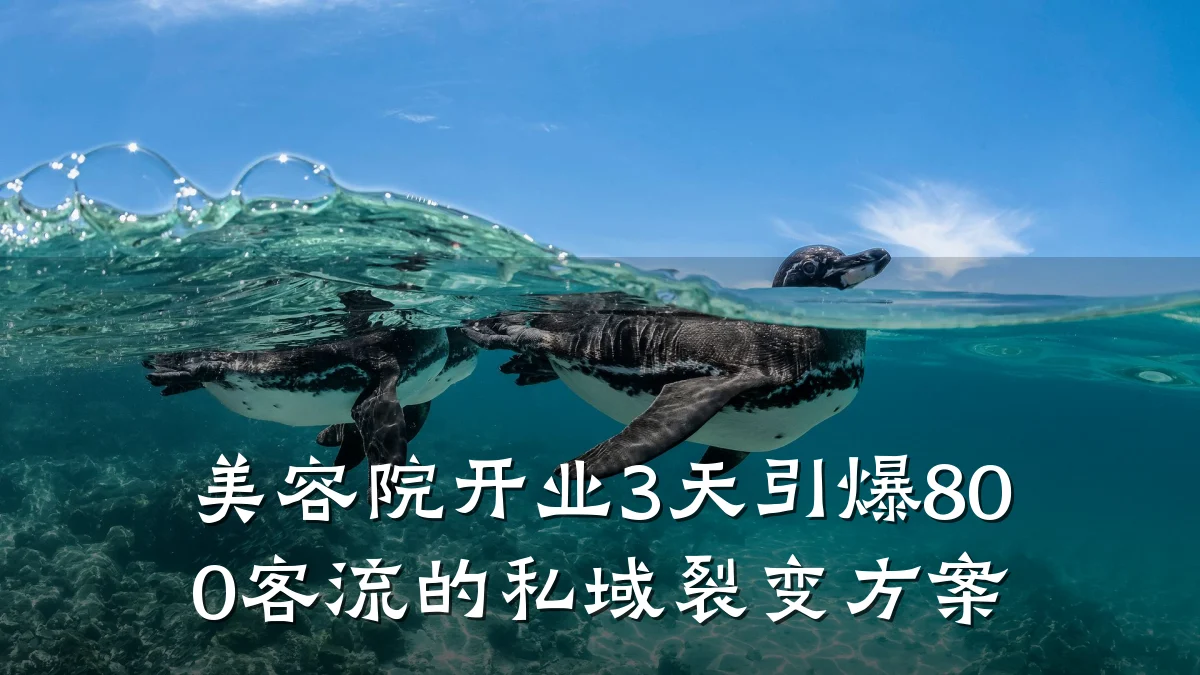 美容院开业3天引爆800客流的私域裂变方案