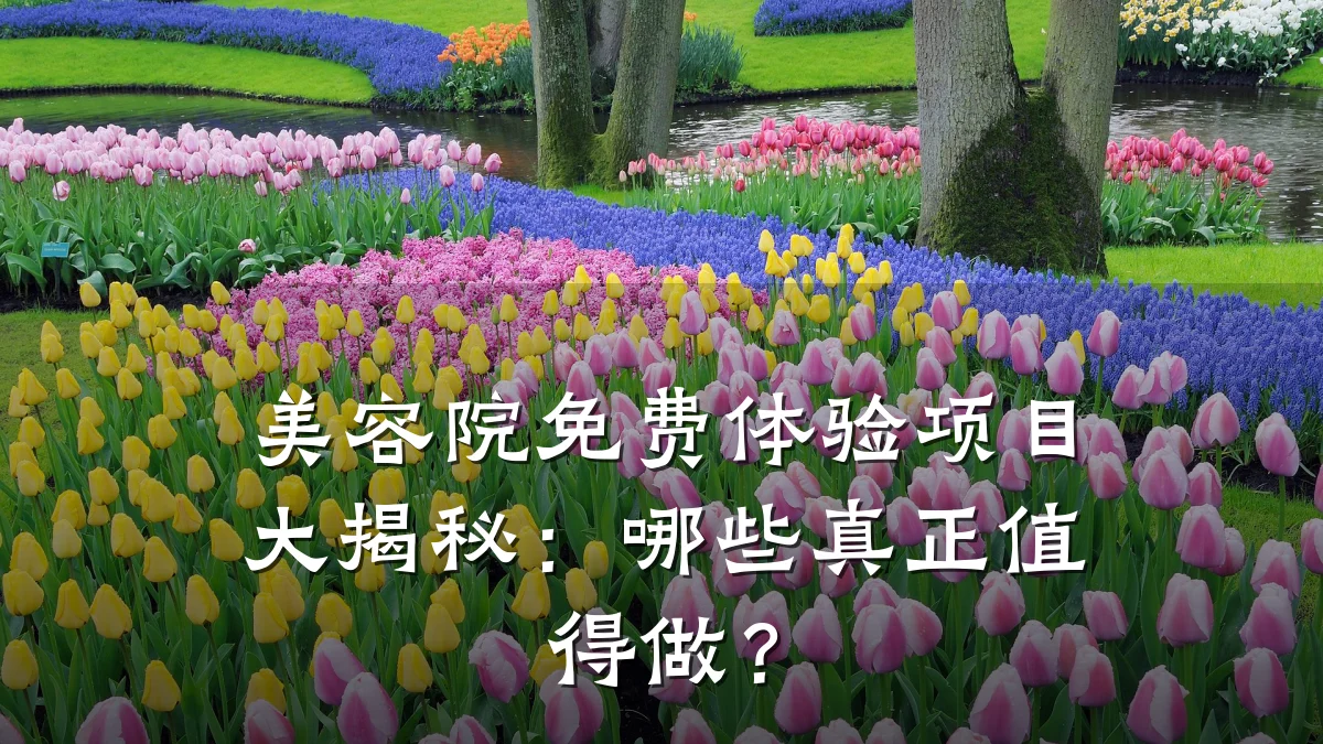 美容院免费体验项目大揭秘：哪些真正值得做？