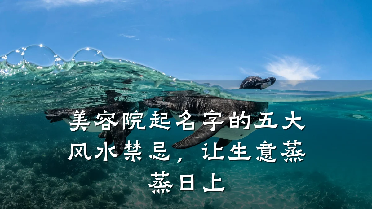 美容院起名字的五大风水禁忌，让生意蒸蒸日上