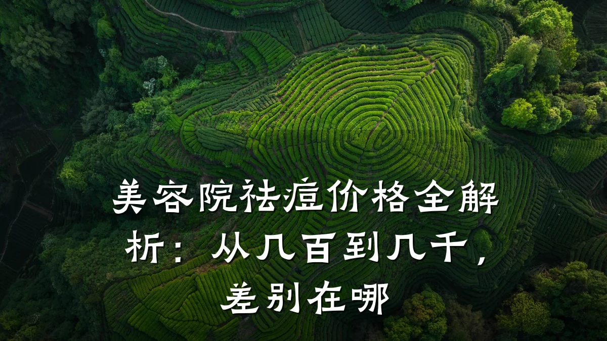 美容院祛痘价格全解析：从几百到几千，差别在哪