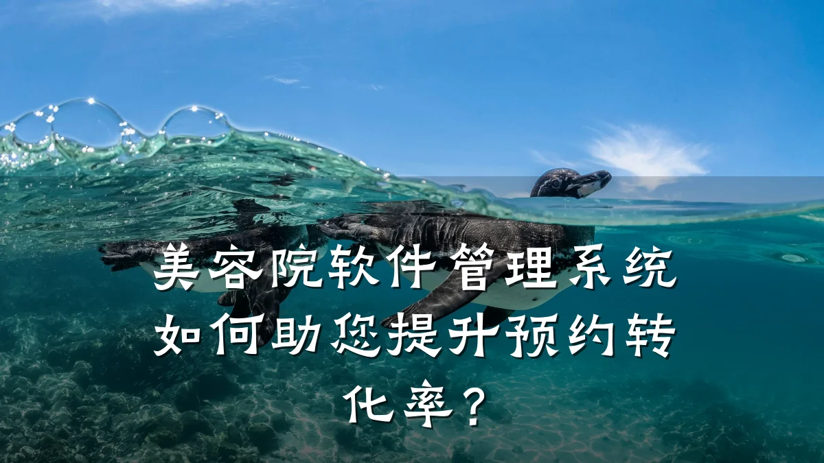 美容院软件管理系统如何助您提升预约转化率？