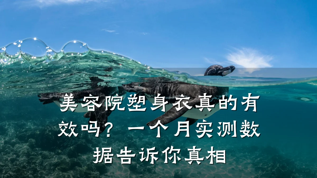 美容院塑身衣真的有效吗？一个月实测数据告诉你真相