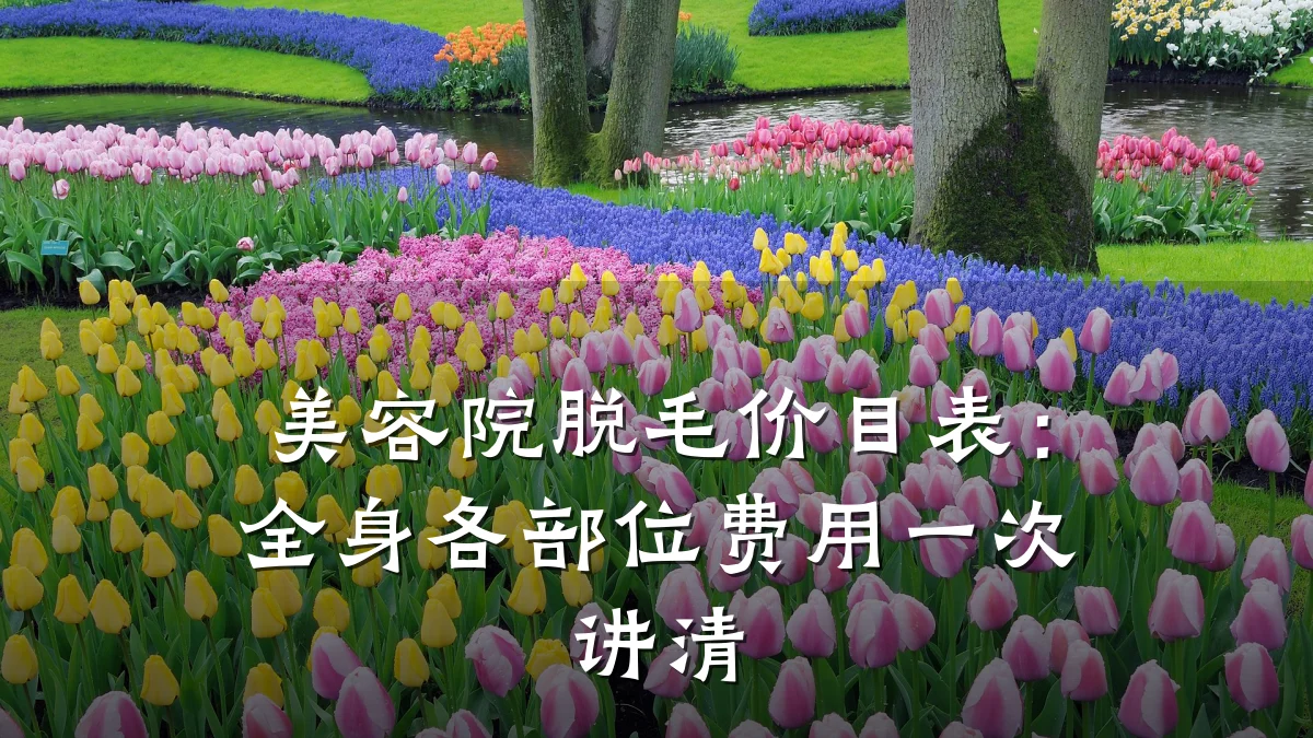 美容院脱毛价目表：全身各部位费用一次讲清