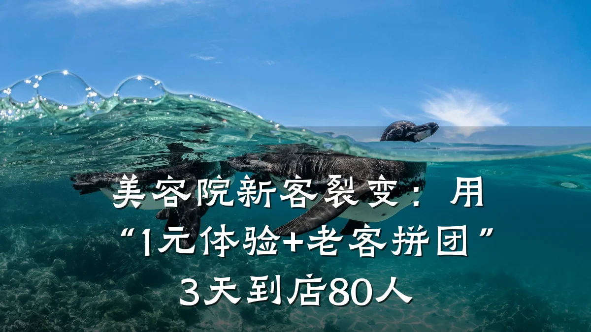 美容院新客裂变：用“1元体验+老客拼团”3天到店80人