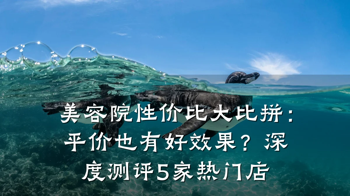美容院性价比大比拼:平价也有好效果?深度测评5家热门店