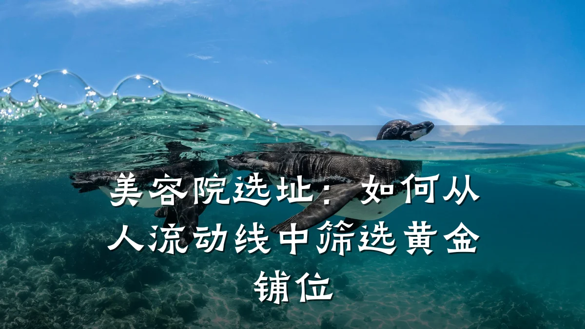 美容院选址：如何从人流动线中筛选黄金铺位