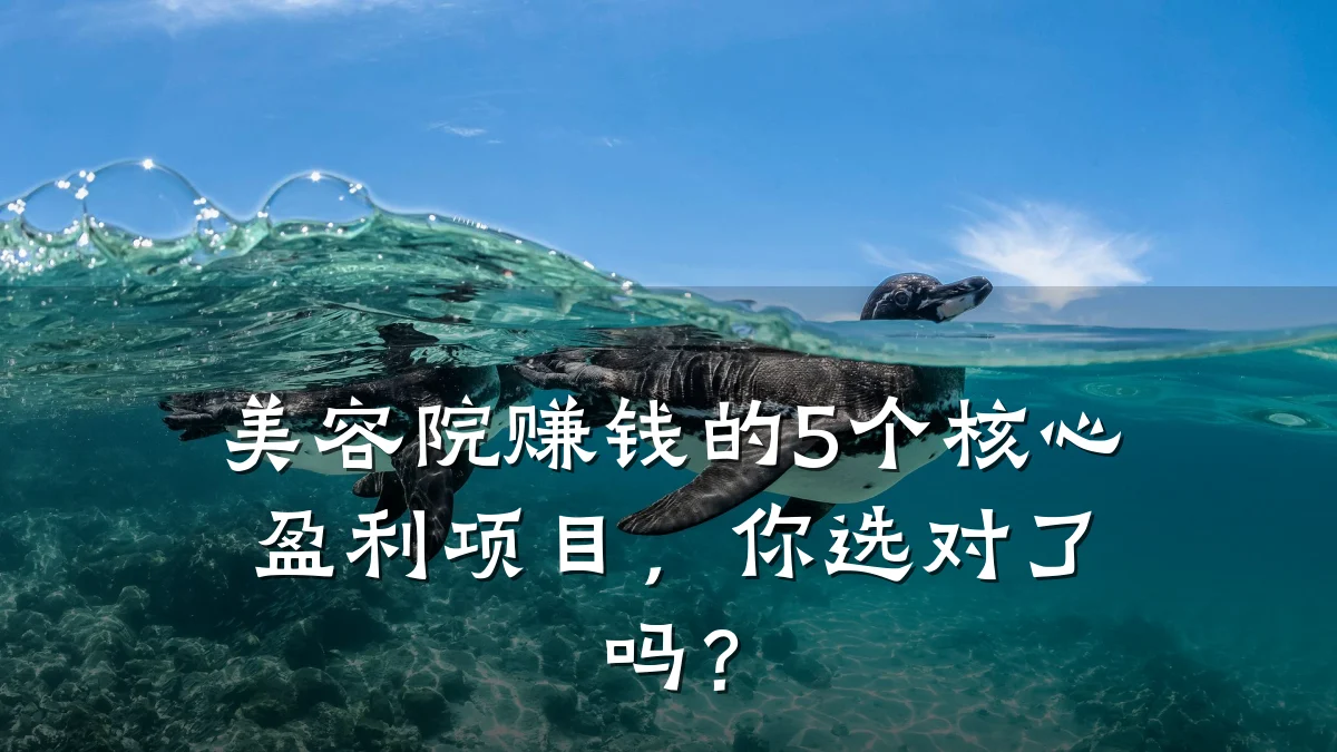 美容院赚钱的5个核心盈利项目,你选对了吗?