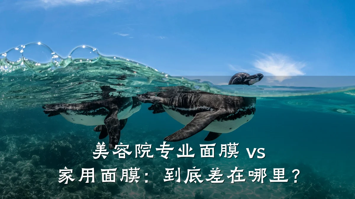 美容院专业面膜 vs 家用面膜：到底差在哪里？
