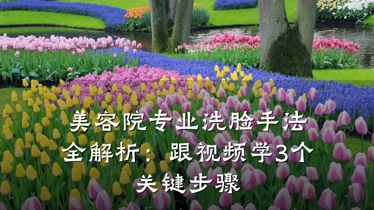美容院专业洗脸手法全解析：跟视频学3个关键步骤