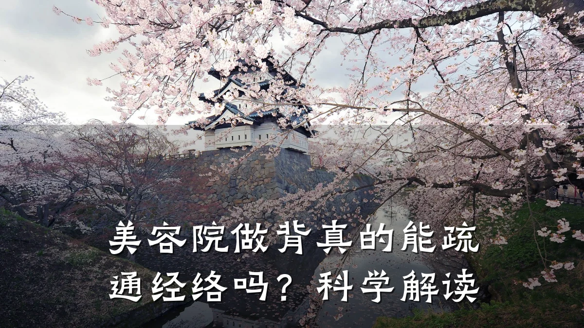 美容院做背真的能疏通经络吗?科学解读