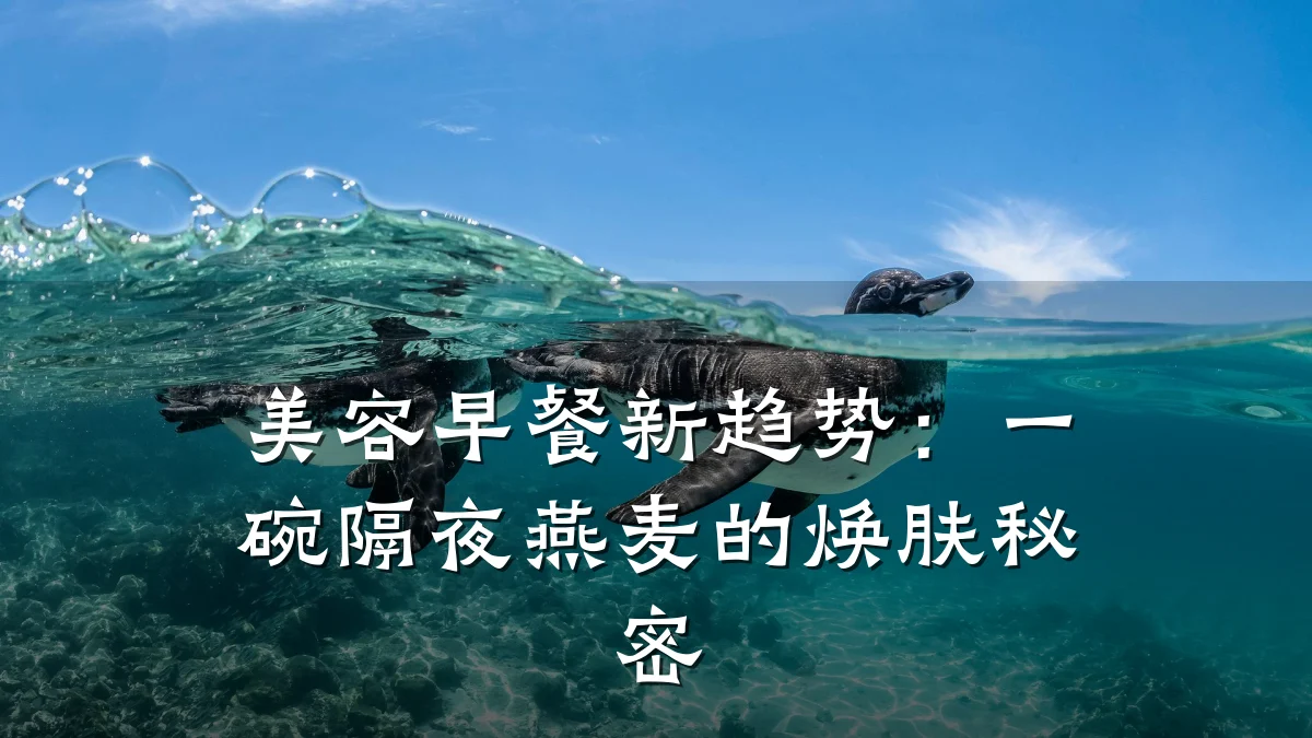 美容早餐新趋势:一碗隔夜燕麦的焕肤秘密