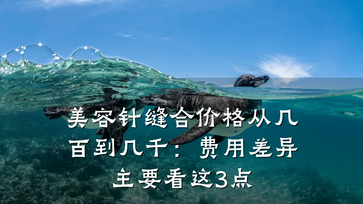 美容针缝合价格从几百到几千：费用差异主要看这3点
