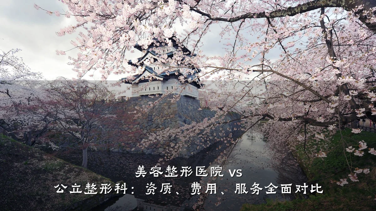 美容整形医院 vs 公立整形科:资质、费用、服务全面对比