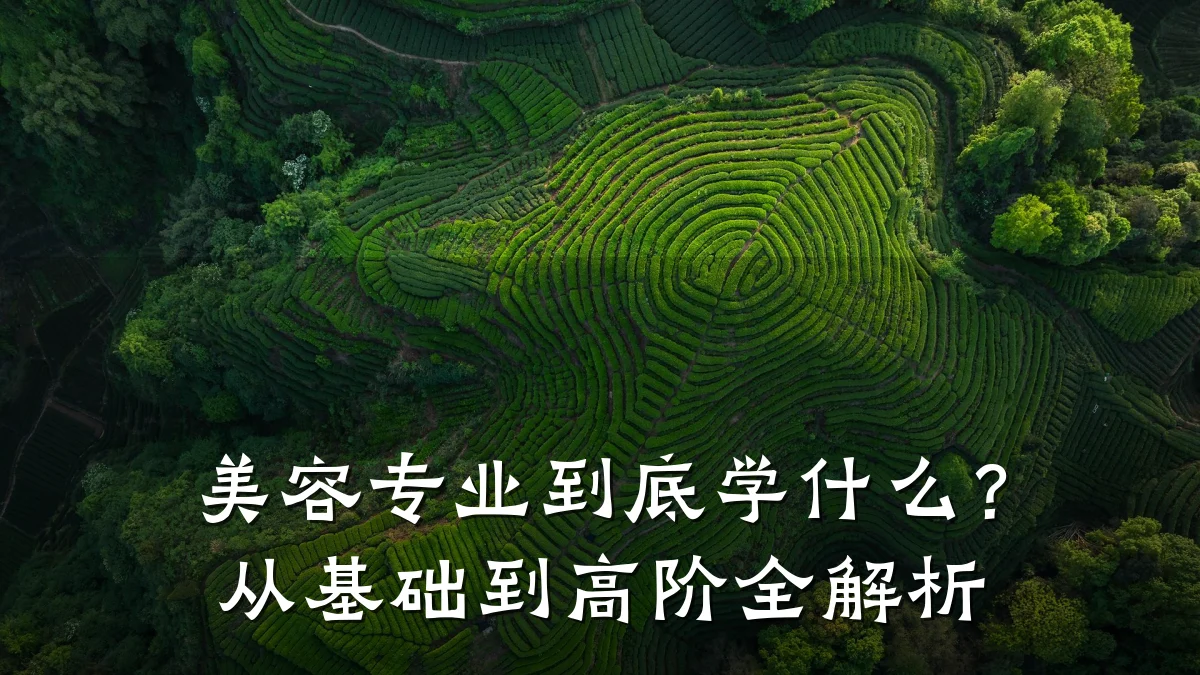 美容专业到底学什么？从基础到高阶全解析
