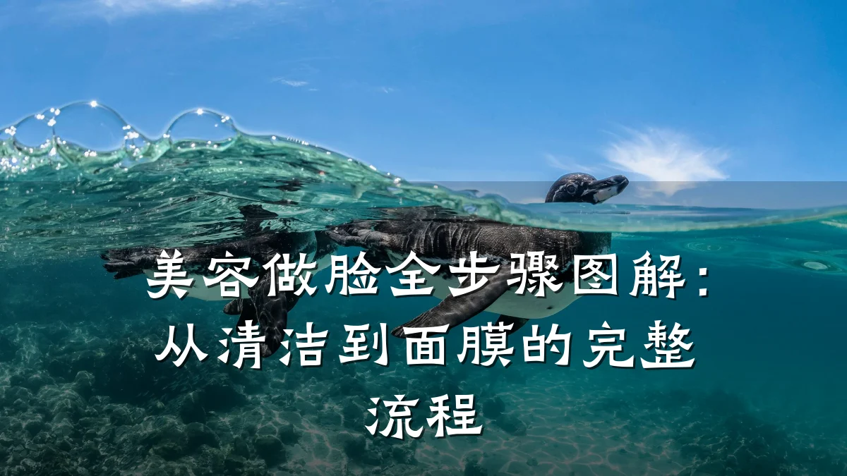 美容做脸全步骤图解：从清洁到面膜的完整流程