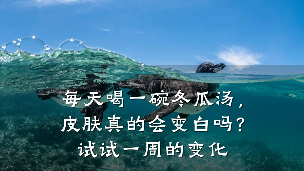 每天喝一碗冬瓜汤，皮肤真的会变白吗？试试一周的变化