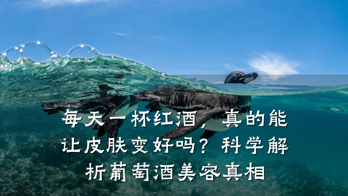 每天一杯红酒，真的能让皮肤变好吗？科学解析葡萄酒美容真相