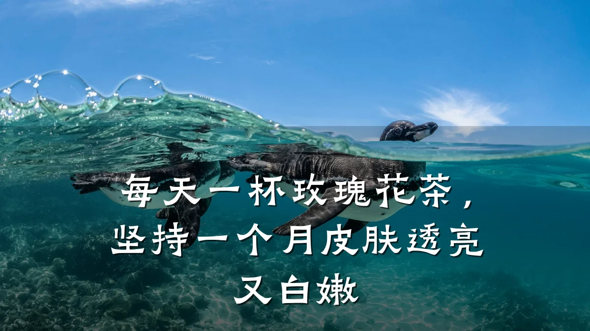 每天一杯玫瑰花茶，坚持一个月皮肤透亮又白嫩