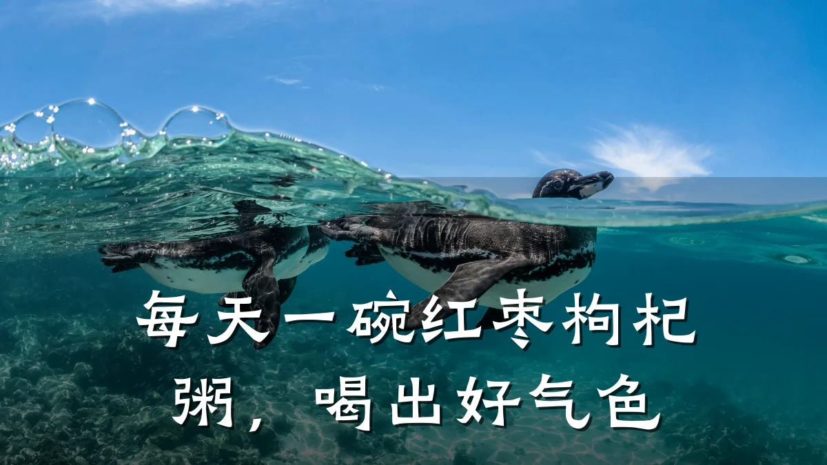 每天一碗红枣枸杞粥,喝出好气色