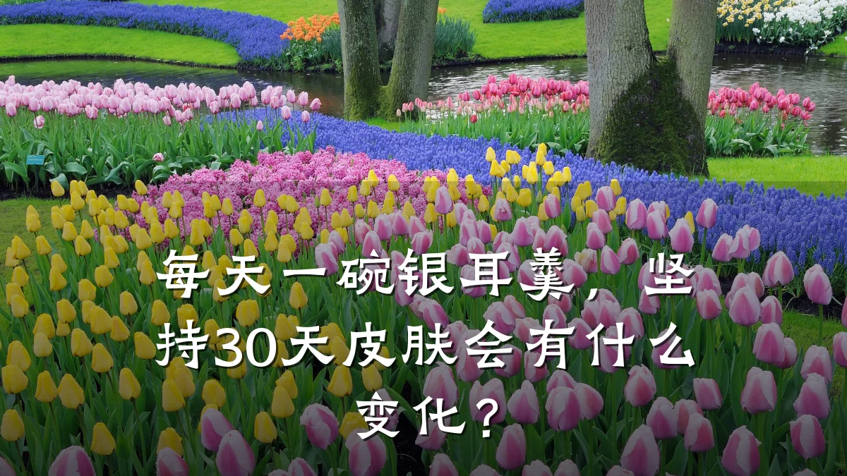 每天一碗银耳羹，坚持30天皮肤会有什么变化？
