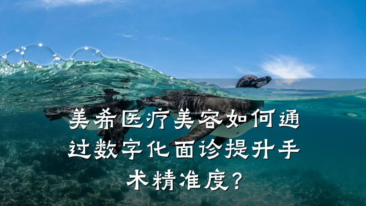 美希医疗美容如何通过数字化面诊提升手术精准度？