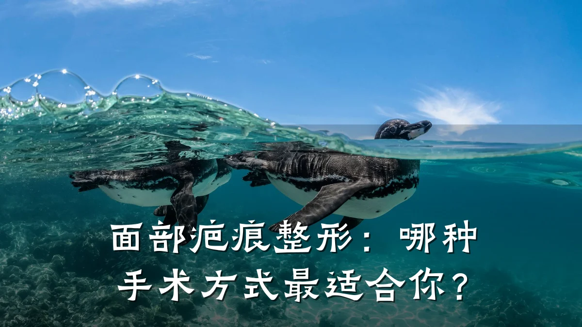 面部疤痕整形：哪种手术方式最适合你？