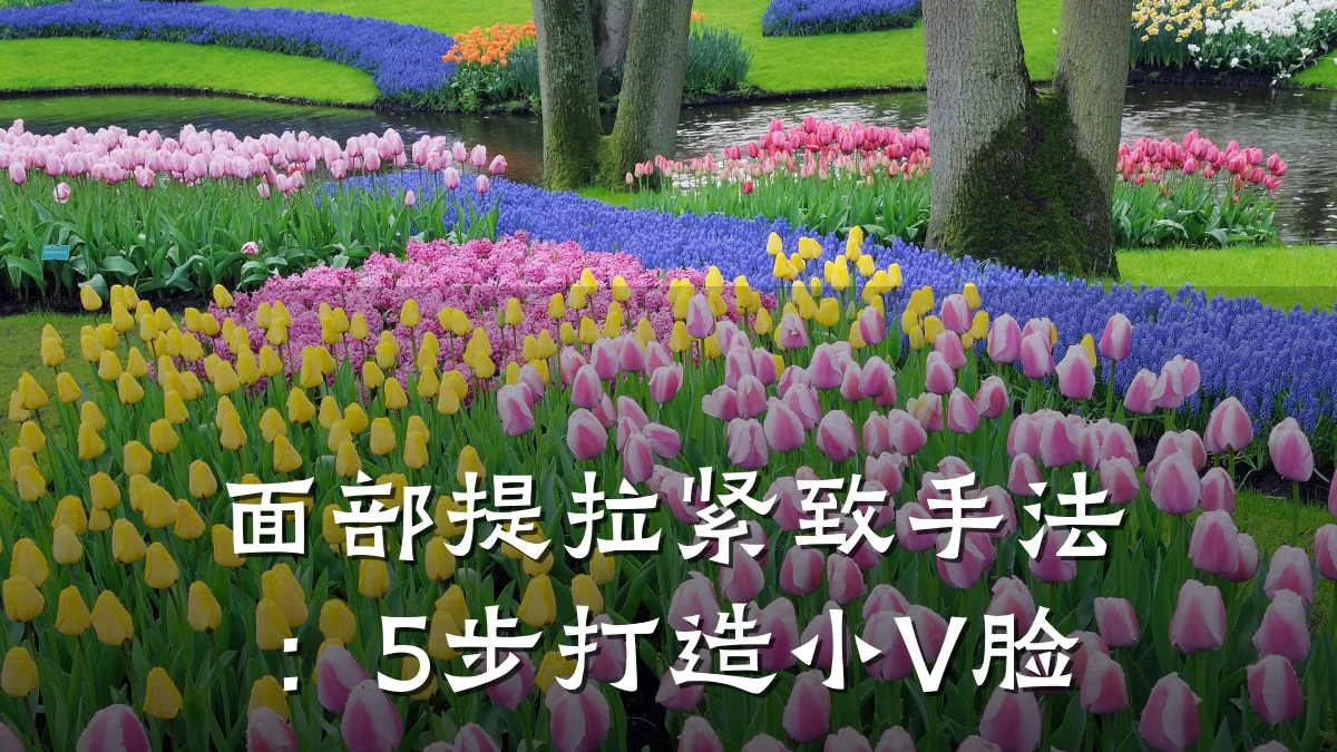 面部提拉紧致手法：5步打造小V脸