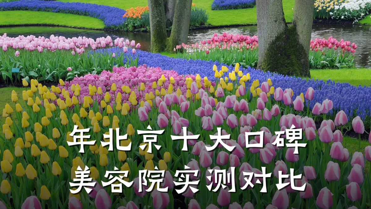 年北京十大口碑美容院实测对比