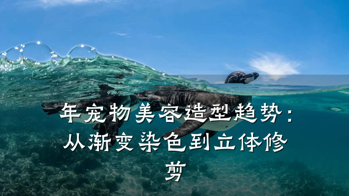 年宠物美容造型趋势：从渐变染色到立体修剪