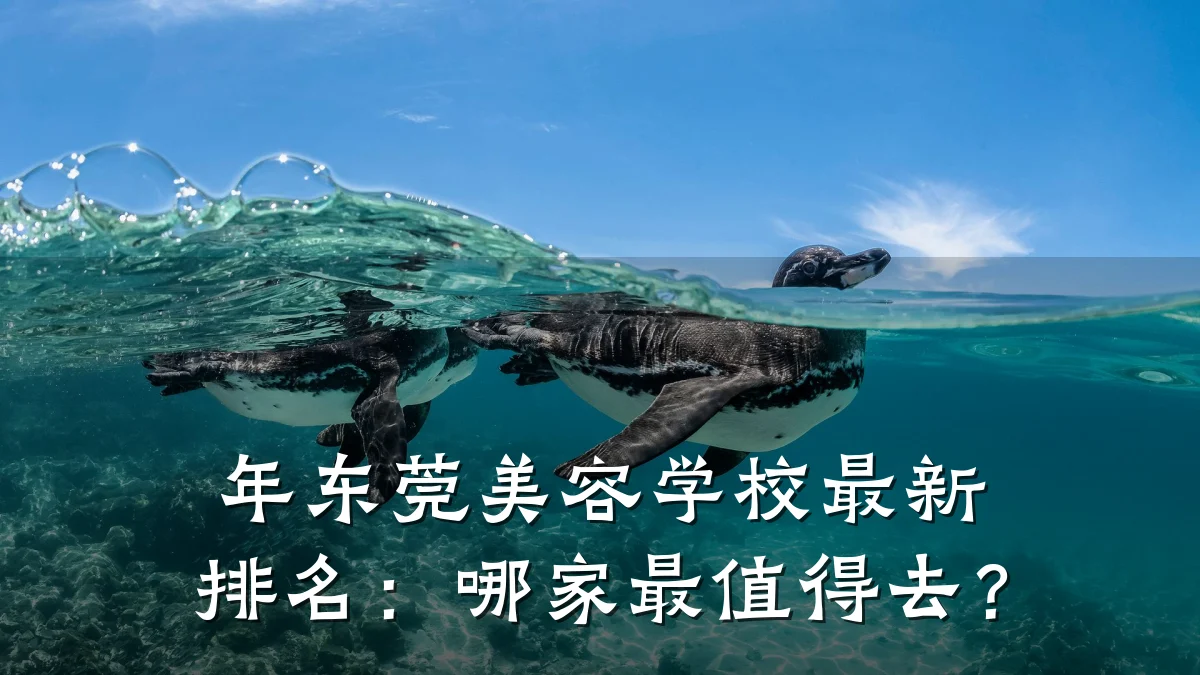 年东莞美容学校最新排名：哪家最值得去？