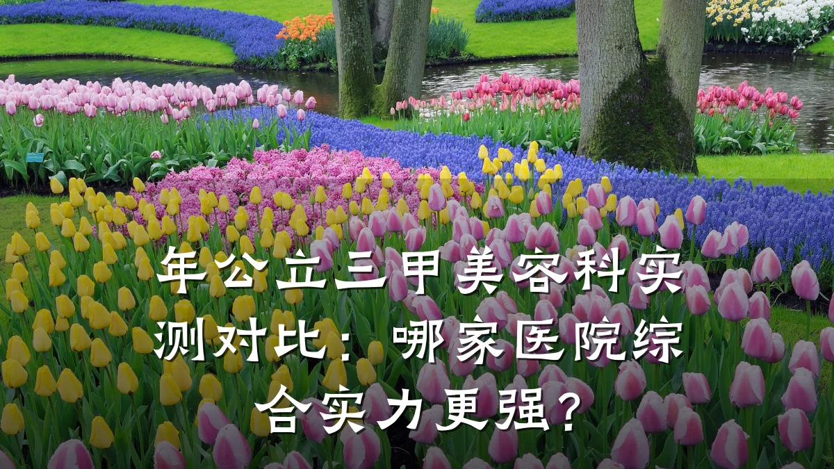 年公立三甲美容科实测对比：哪家医院综合实力更强？