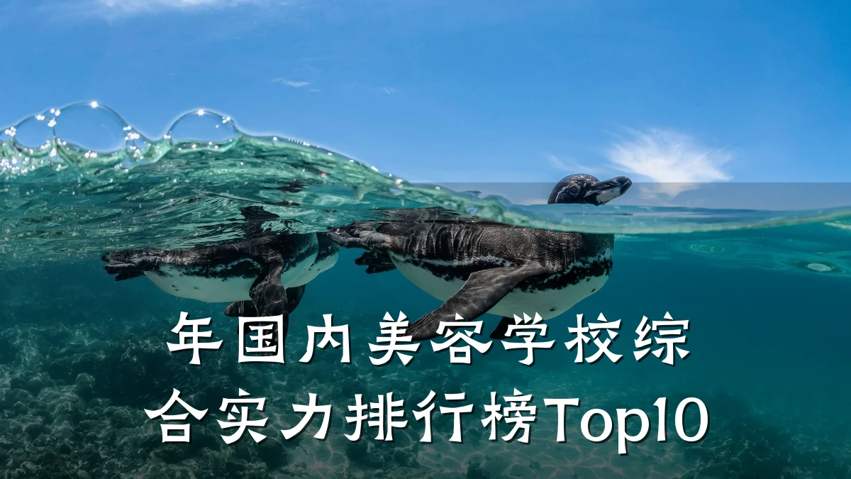 年国内美容学校综合实力排行榜Top10