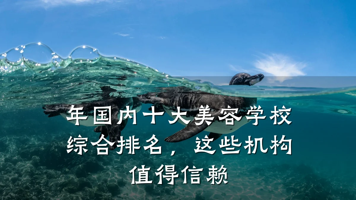 年国内十大美容学校综合排名，这些机构值得信赖