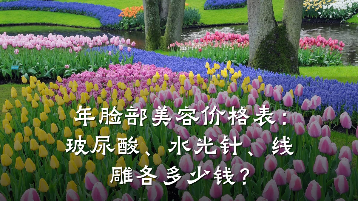 年脸部美容价格表：玻尿酸、水光针、线雕各多少钱？