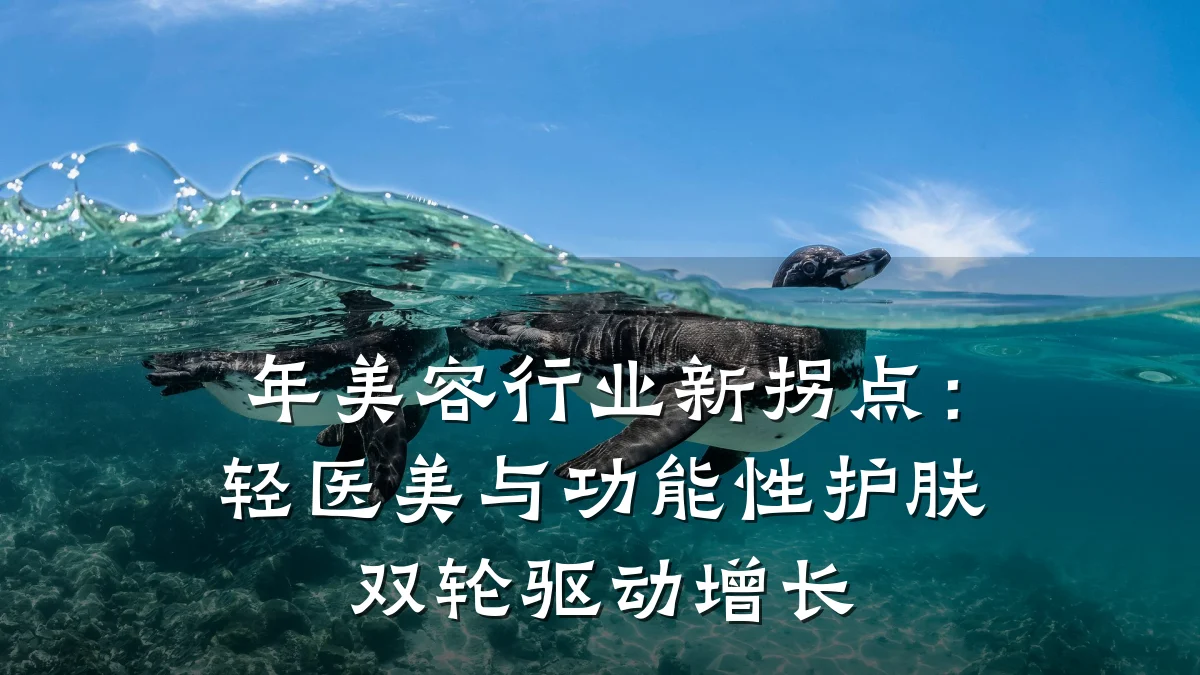 年美容行业新拐点：轻医美与功能性护肤双轮驱动增长