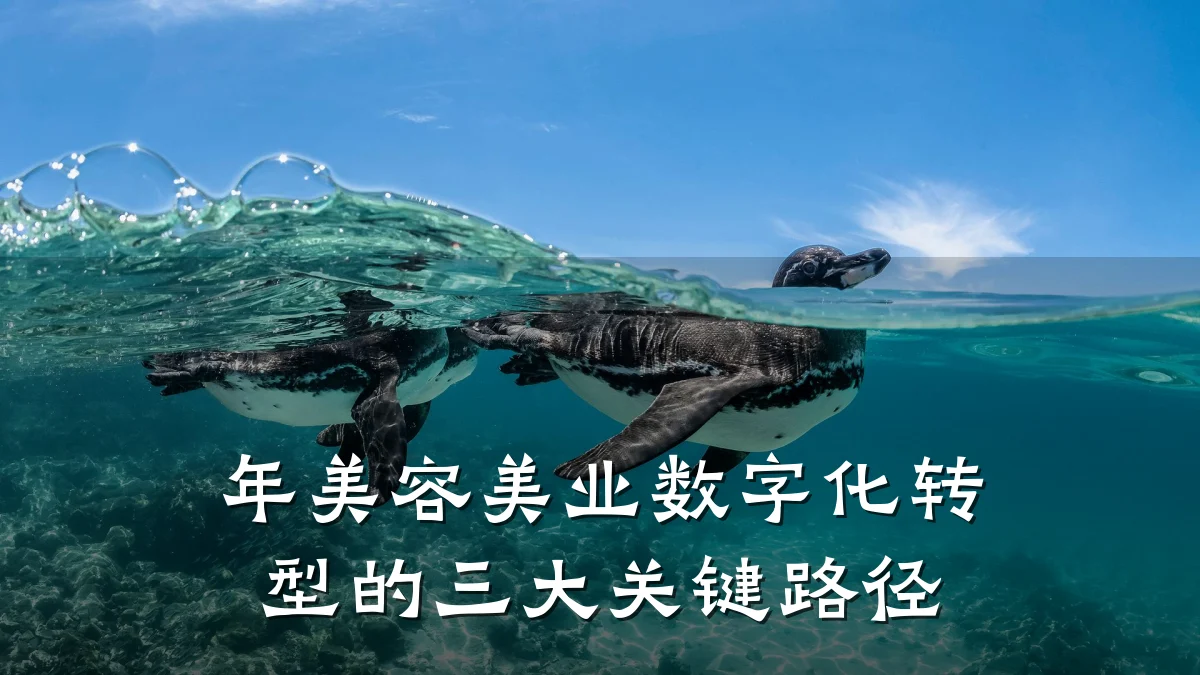 年美容美业数字化转型的三大关键路径
