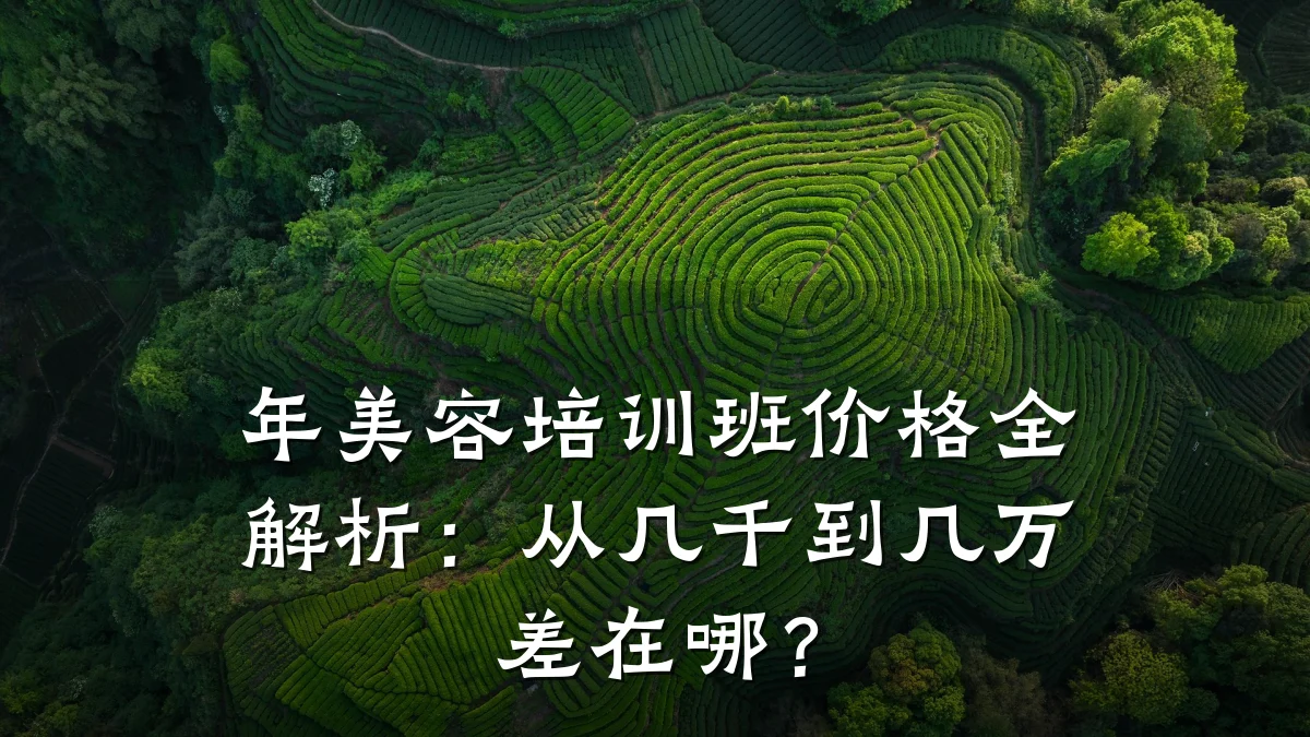 年美容培训班价格全解析：从几千到几万差在哪？