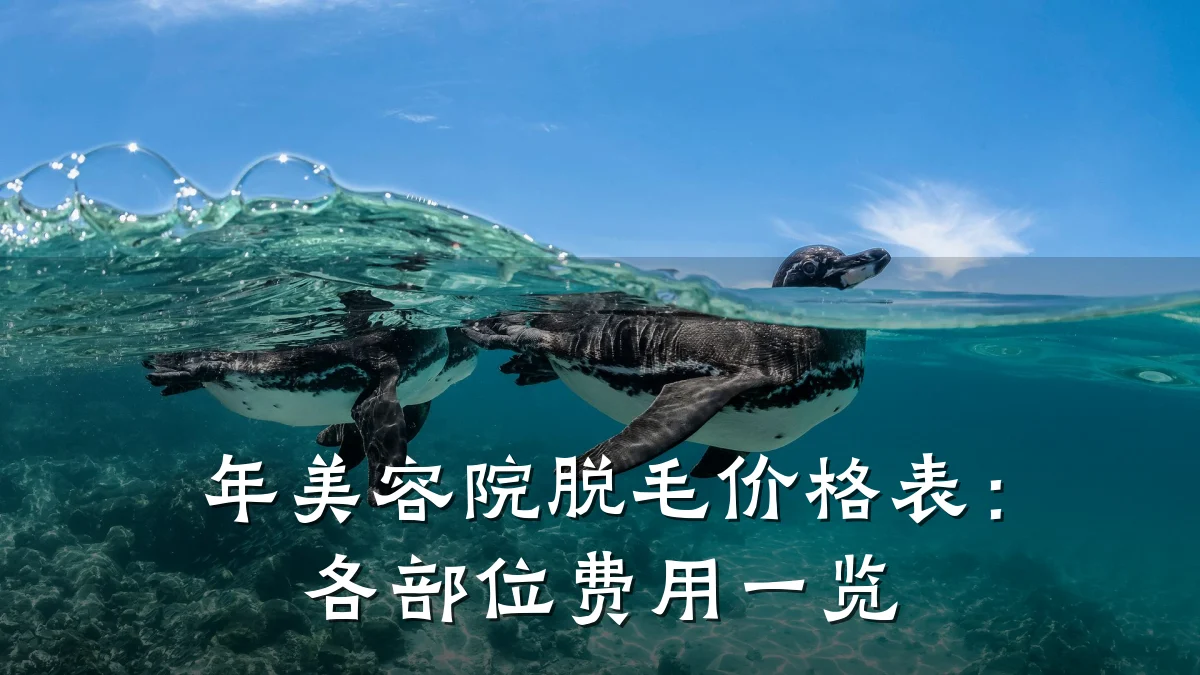 年美容院脱毛价格表：各部位费用一览