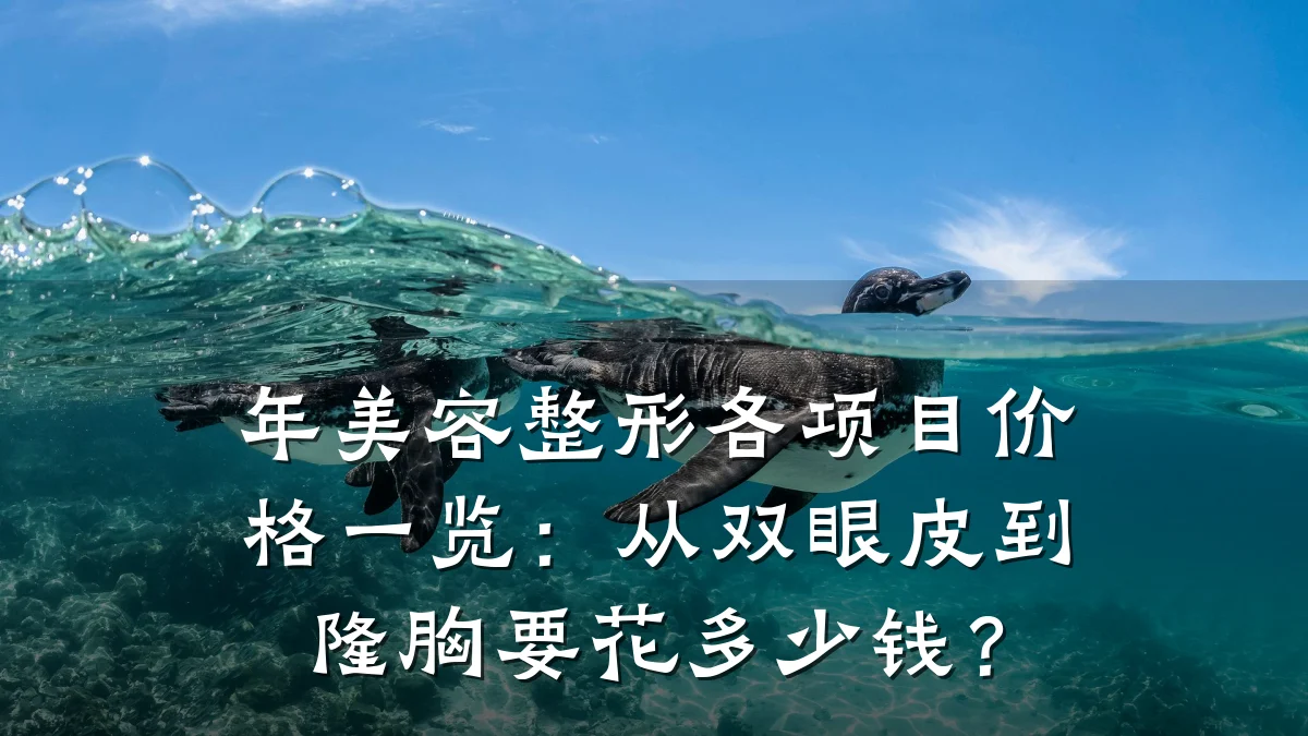 年美容整形各项目价格一览:从双眼皮到隆胸要花多少钱?