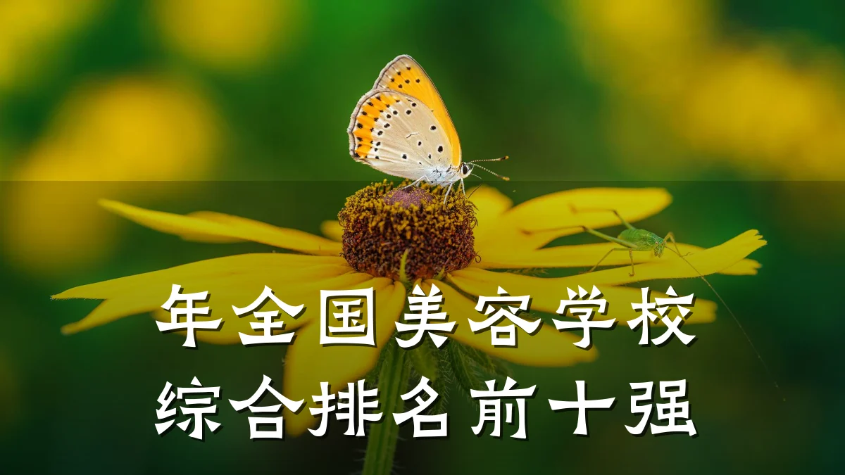 年全国美容学校综合排名前十强