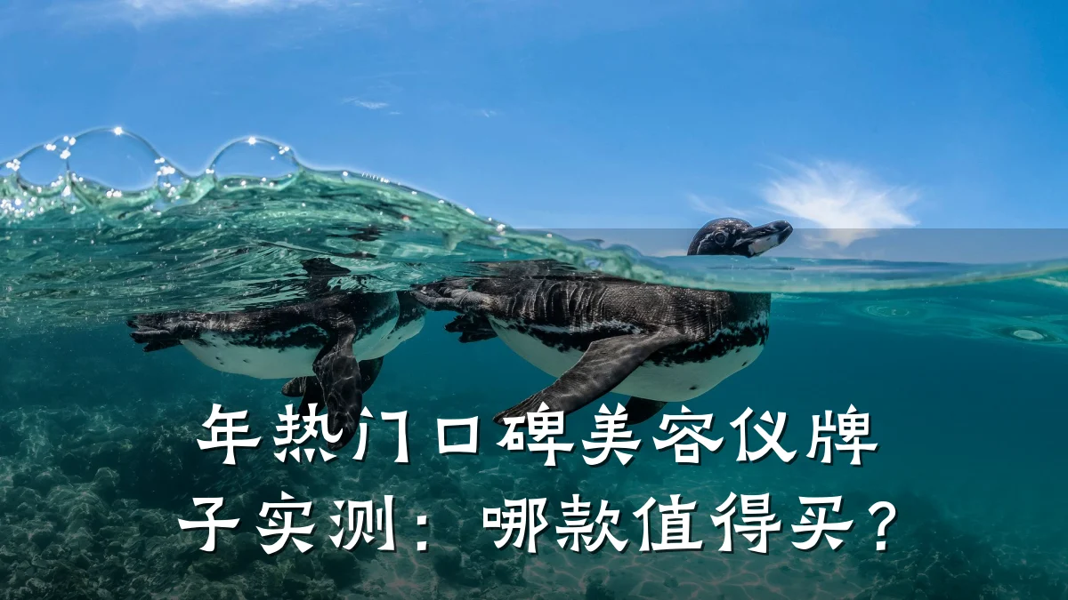 年热门口碑美容仪牌子实测:哪款值得买?
