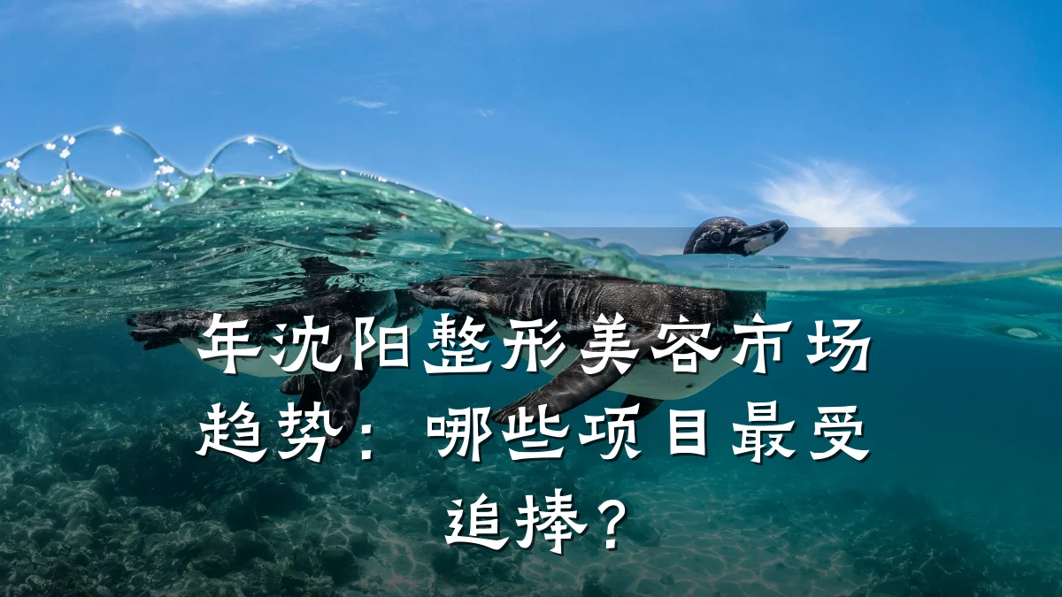 年沈阳整形美容市场趋势：哪些项目最受追捧？